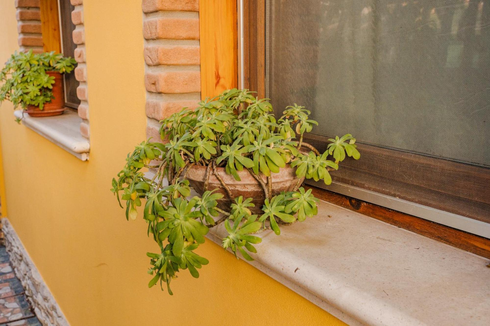 La Loggia Bed & Breakfast Comacchio Exterior foto